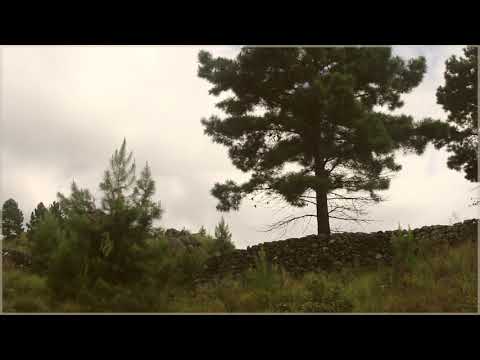 Rincon del Durazno -Chacras de Montaña- Pircas y Sierras
