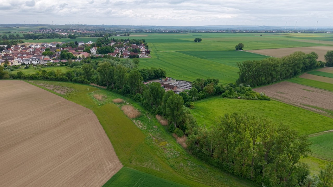Biber-Projekt in Hahnheim