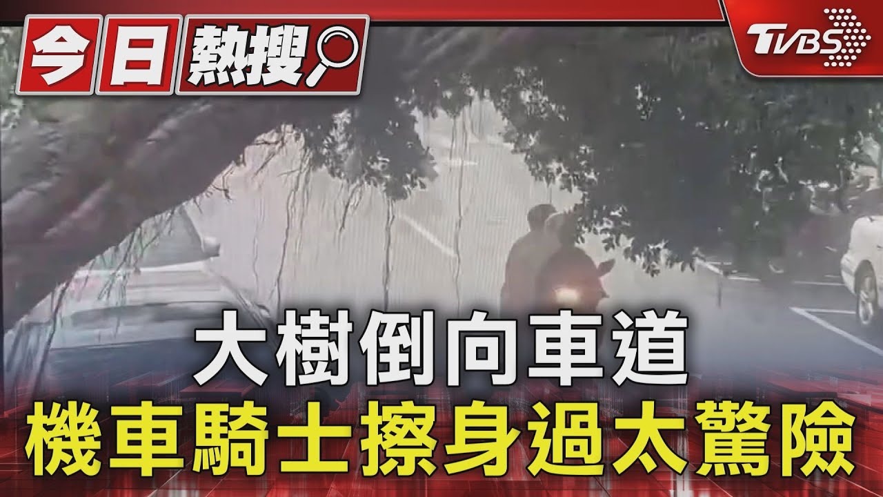 大樹倒向車道 機車騎士擦身過太驚險