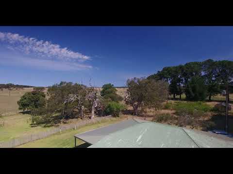 Australian Red Gum Gallery
