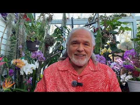 FRANK26….1-23-26…….2 of 5