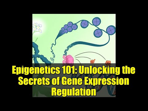 Epigenetics 101: Unlocking the Secrets of Gene Expression Regulation