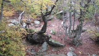 preview picture of video 'Pilio mountain Chania Tsagarada Πήλιο Χάνια Τσαγκαράδα'