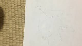 プラnet 新しい星座の紹介！〔赤子座〕