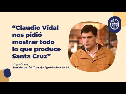 Portada video