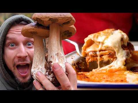 OMG HUGE porcini! Foraging and cooking the king of mushrooms!