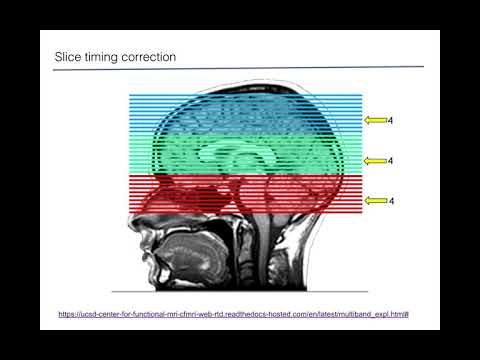 FMRI Lecture 7, January 30, 2020