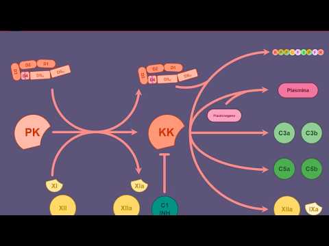 Sistema chinina-callicreina