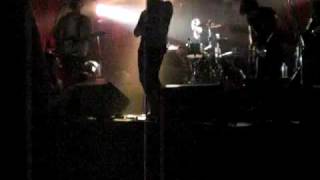 Here come the birds - Unintentional live 5/9/09