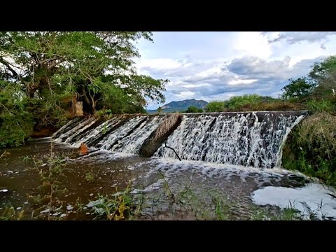 BARRAGEM DE PRISELINA TRANSBORDA COM MUITA CHUVAMUNICÍPIO DE CATURAMA BAHIA #bahia #nordeste #sertão