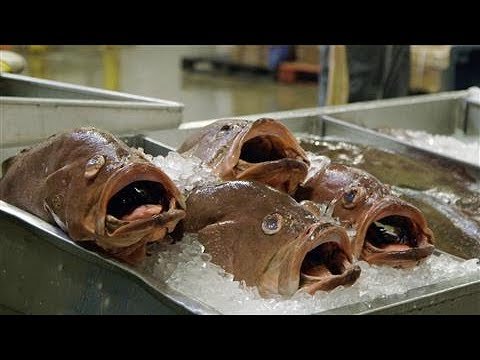 How to Ask for a Raise Tips From a Fish Market