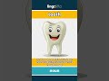 tooth (noun) - definition and usage in English