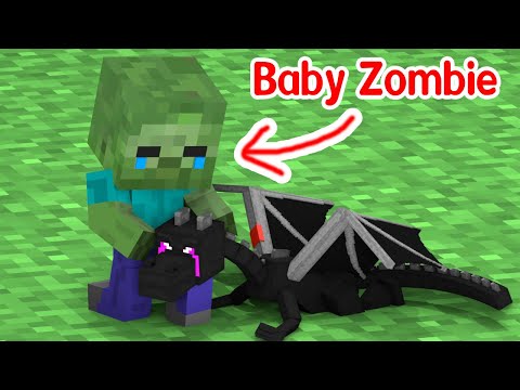 Baby Zombie and Baby Dragon - Minecraft Animation