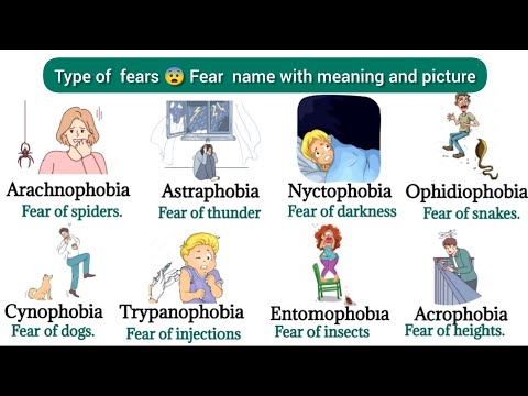 Type Of Fears | Fear Vocabulary | English Vocabulary | English Words