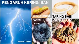 Download lagu 5  Bansa Pengaruh Kering Kitai IBAN mp3