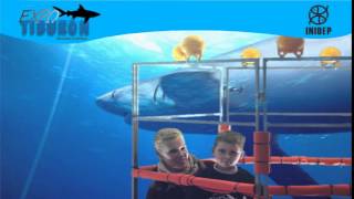 DIA 2 Expo Tiburon36