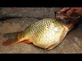 Fish Eggs Curry Recipe Corp Fish Egg Spicy Fry Cooking Fish Gravy Cooking Food