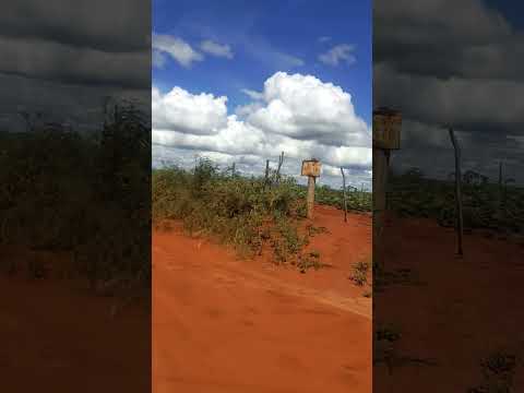 @guajeru@bahia@paz@sertão