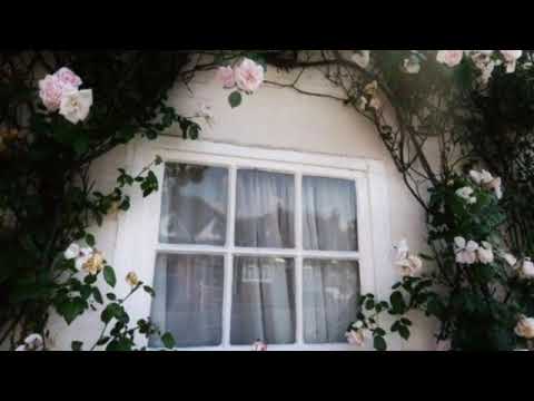 heal & repair relationship subliminal