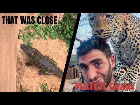 Well that happened!!!