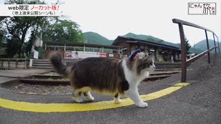 Vol.25「にゃん旅鉄道」電車はまだかにゃ～？