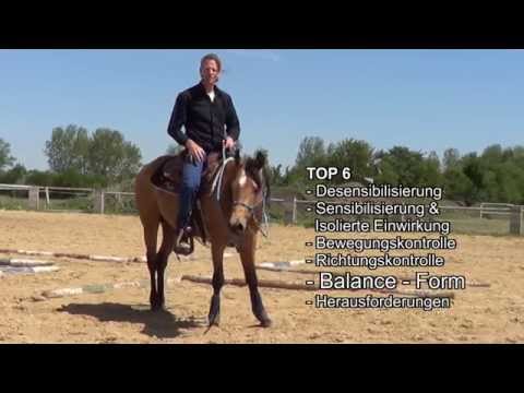 SP E TC2015  Der 2. Ausbildungsmonat mit EXPENSIV - Teil 2 "Reitarbeit kommentiert"