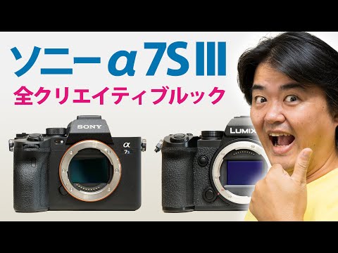 SONY α7SⅢのクリエイティブルックを比較してみた - 『すぎっち』のジモログ