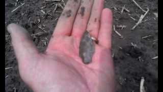 Arrowhead Hunting Upstate New York, Sunshine find!