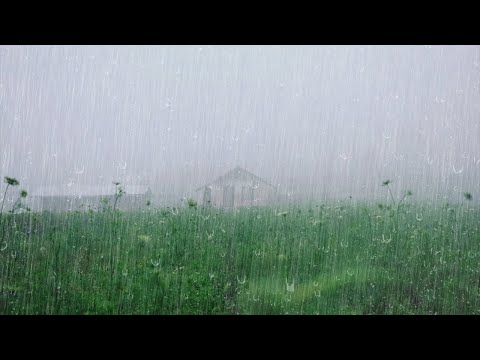 Dormir Rápidamente en Menos 5 Minutos con Lluvia Relajante y Truenos en el Campo