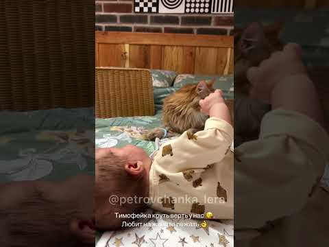 #garden #жизньзагородом #рецепты #огород #shorts