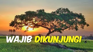 4 Destinasi Instagramable di Salatiga-Ambarawa, Ada Benteng Pendem hingga Pohon Pengantin