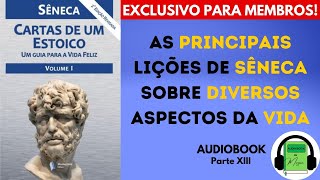 AUDIOBOOK CARTAS DE UM ESTOICO Volume I Pt XIII - Sêneca | LIÇÕES DE SÊNECA SOBRE A VIDA