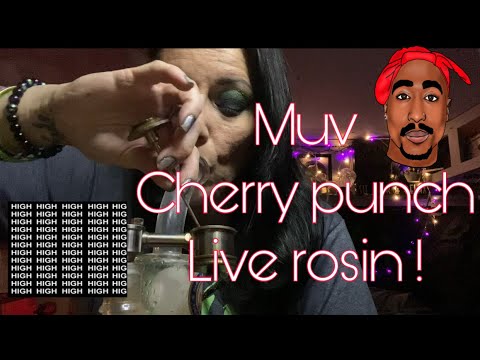 Cherry Punch Muv