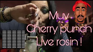 cherry punch #LiveRosin #MedicalMarijuana #muv