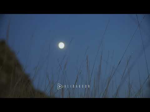 Parah Dice & Ali Bakgor ft. Bastien - Lady