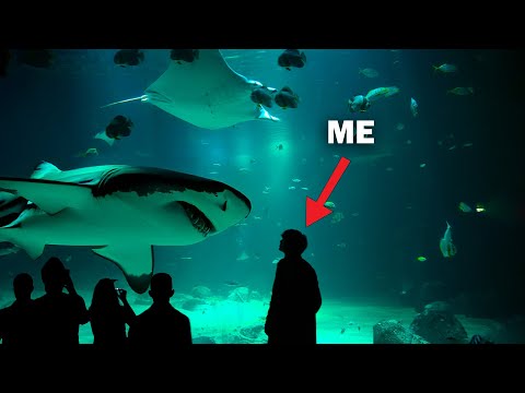 I Visited the biggest Aquarium of Europe