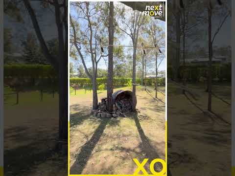 8 Bluegum Close, Singleton, NSW 2330, 1 침실, 1 욕실, House