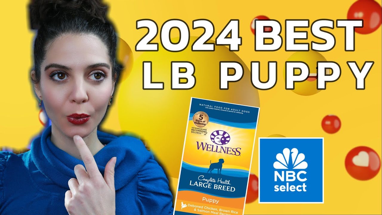 2024 Best Puppy Food for large breed: NBC picks Wellness Complete large breed