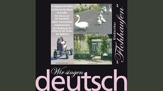 Spannenlanger Hansel