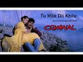 Tu Mile Dil Khile Song Criminal Movie Kumar Sanu Alka Yagnik Chitra Viral