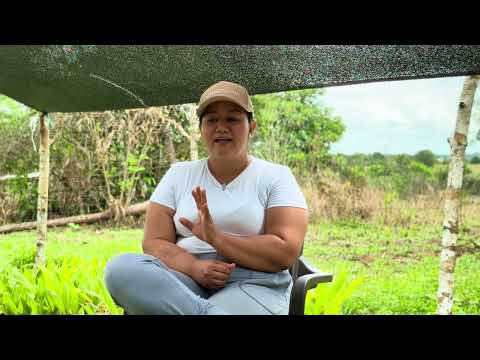 En Puerto Lleras, Meta, avanza la Reforma Agraria sembrando más de 17.000 plántulas de chontaduro