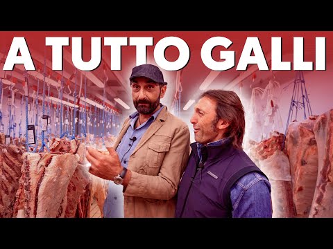 , title : 'A TUTTO GALLI - Intervistona a Fabio Galli'