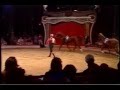 Katja Schumann Liberty Act 1990 BAC Ballerinas Horses And Clowns The Golden Age