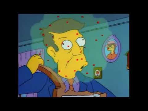 Ukulele Orchestra jako Brno - Ukulele Orchestra jako Brno&Simpsonovi&Blur&