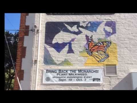 Bring Back the Monarchs