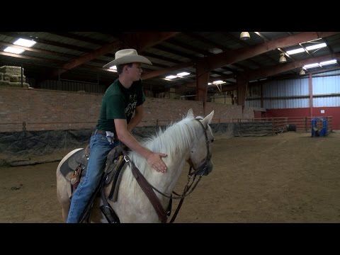 Livestock – Farm Safety