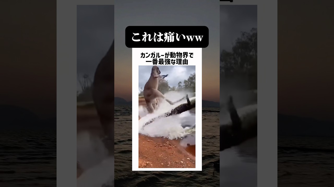 凶暴なワニが可哀想に見えてくる動画w