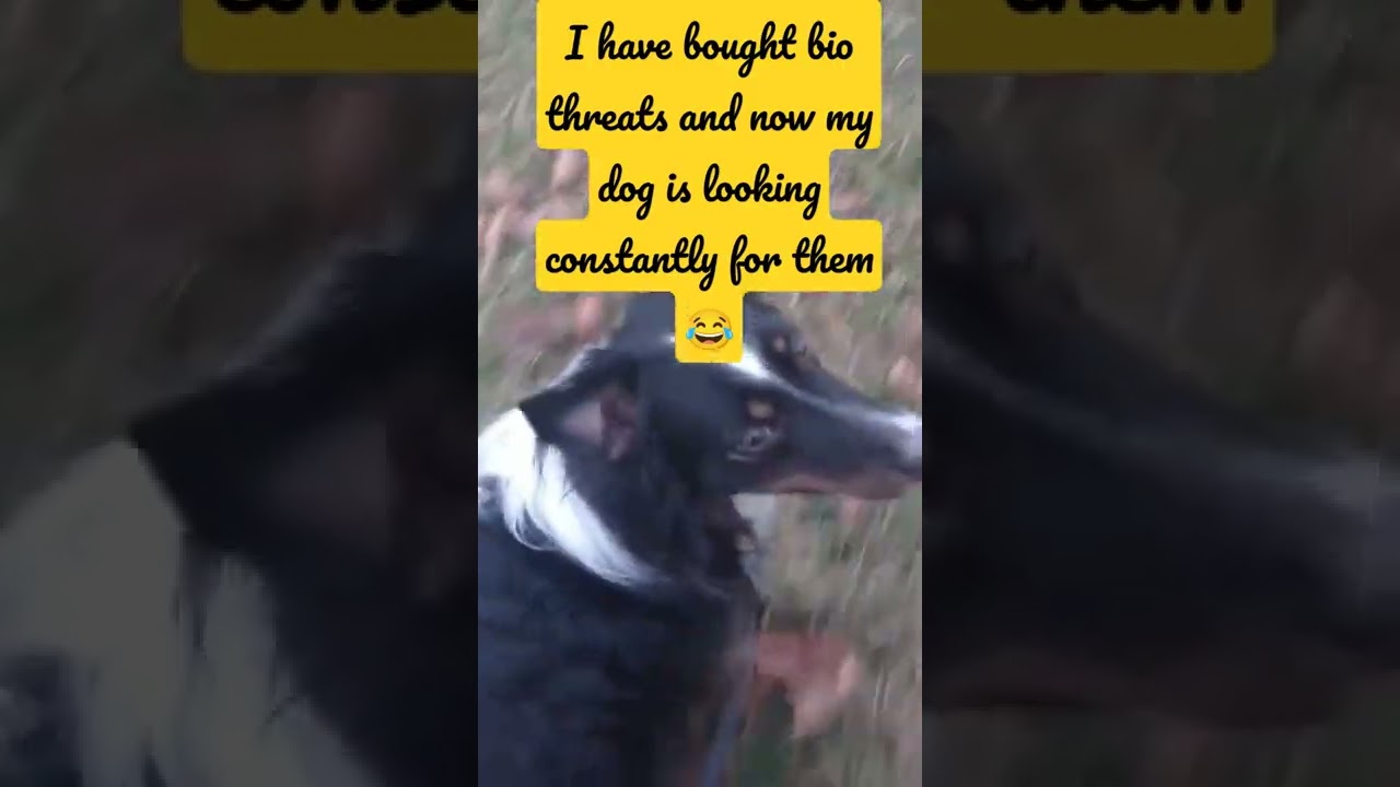 super bio threats are good for your dog. take good care abt your dog