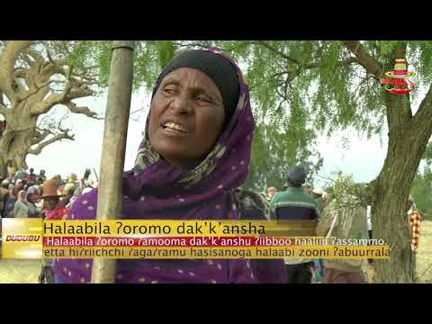 OMN: Keessummaa, Turtii Prof. Mararaa waliin