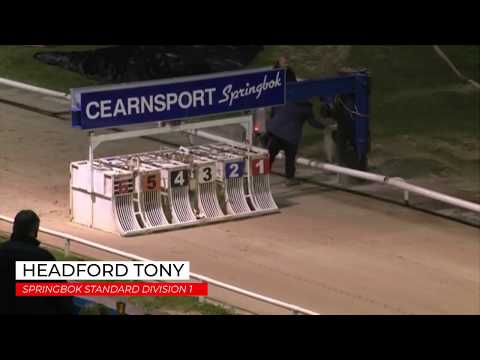 Headford Tony - Springbok Standard Division 1